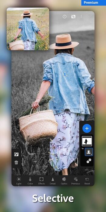 lightroom mod apk latest version