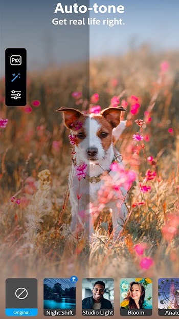 adobe photoshop camera apk download