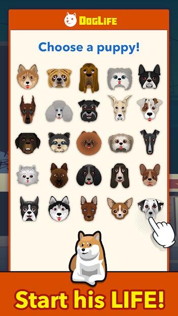 dog life apk