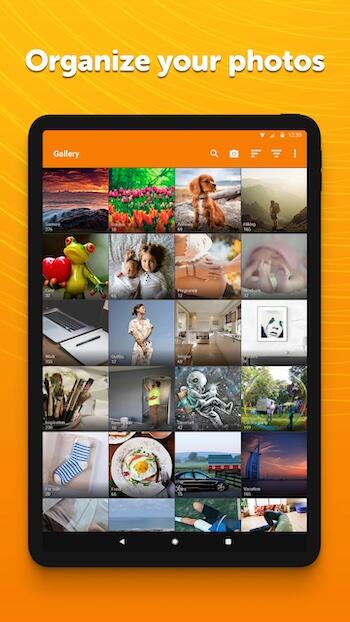 download simple gallery pro apk