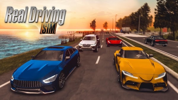 real driving sim unlimited money