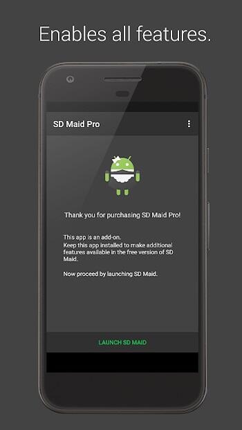 sd maid pro apk