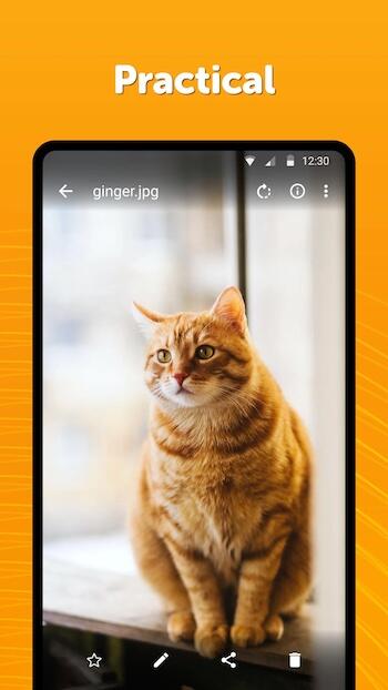 simple gallery pro download