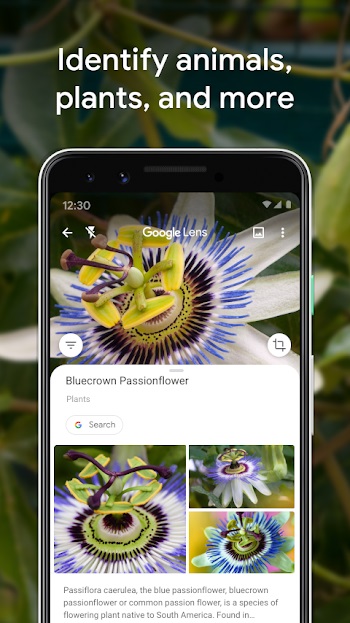 google lens free download