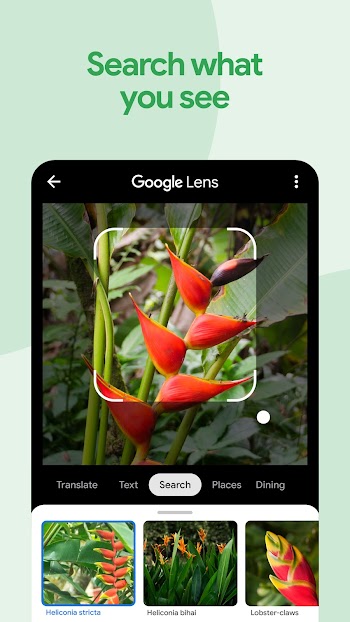 google photos premium