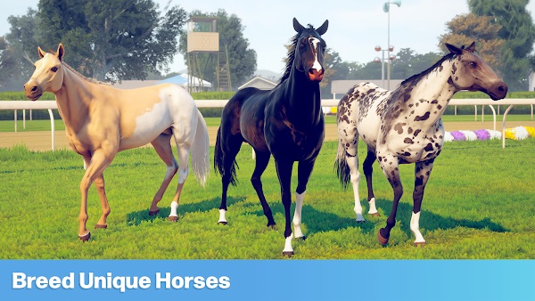 rival stars horse racing apk latest version